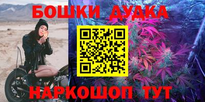 гашик Кандалакша
