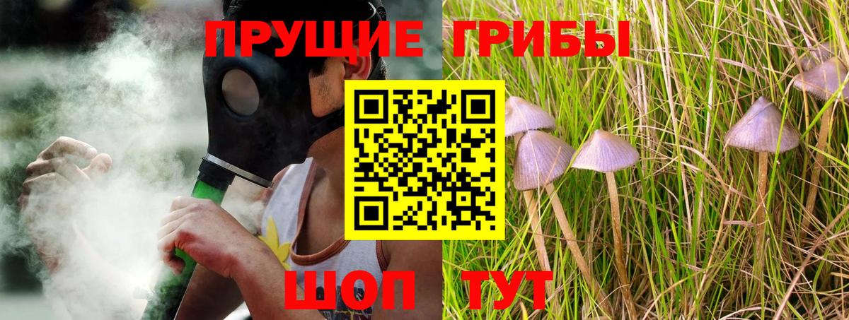 Галлюциногенные грибы мухоморы Курчатов